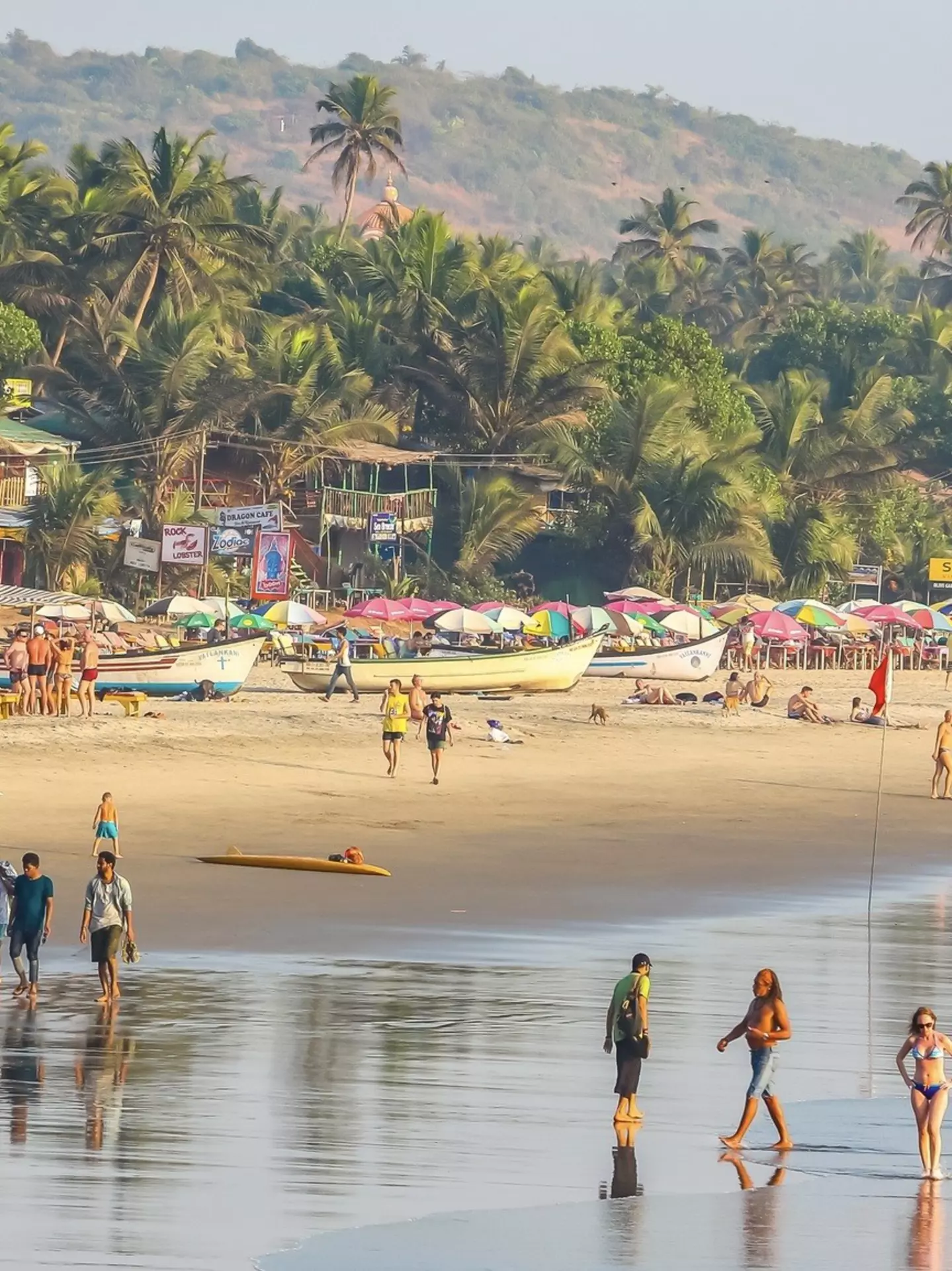 Palm-lined Goa coastline at warm golden hour
